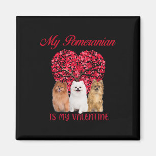 Íman Meu Pomerânia é meu cachorro de valentine Dia dos