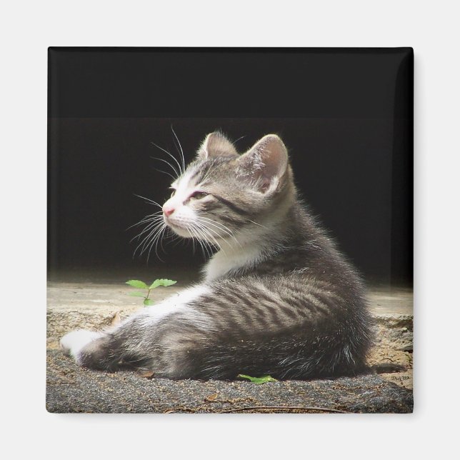 Íman Meu relógio (Frente)