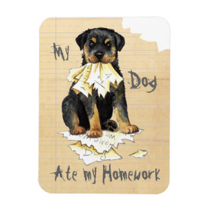 Íman Meu Rottweiler Comeu Meu Trabalho De Casa