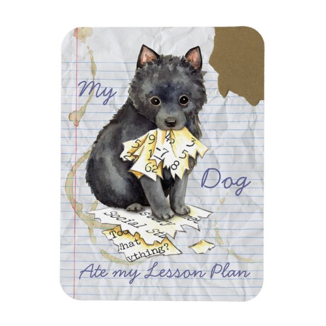 Íman Meu Schipperke Ate Meu Plano De Lição (Vertical)