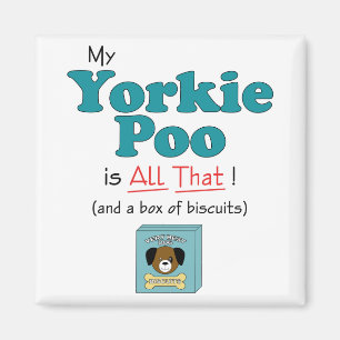 Íman Meu Yorkie Poo é todo o isso!
