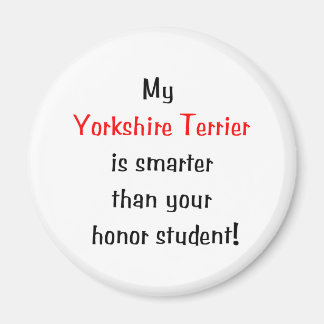 Íman Meu Yorkshire Terrier é mais inteligente...