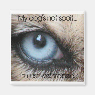 Íman Meus cachorros não estragam, só estou bem treinado