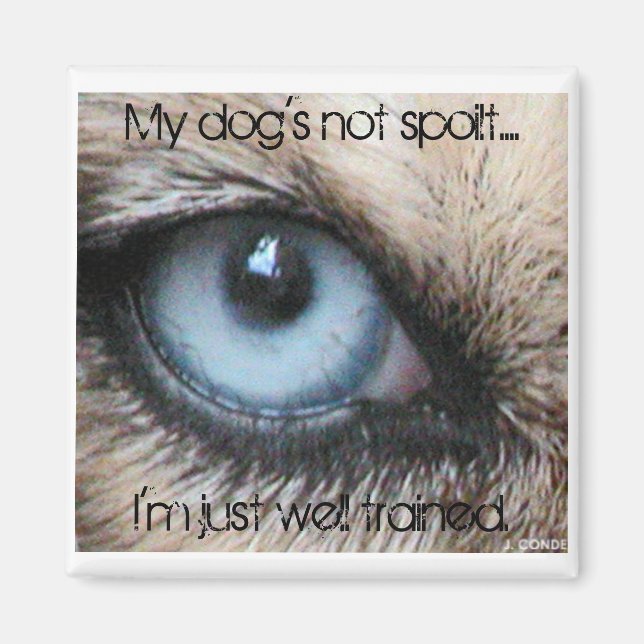 Íman Meus cachorros não estragam, só estou bem treinado (Frente)