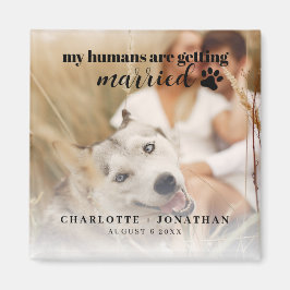 Íman Meus humanos estão se casando Cachorro Salve a Dat