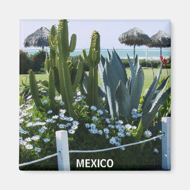 ÍMAN MÉXICO CACTI (Frente)