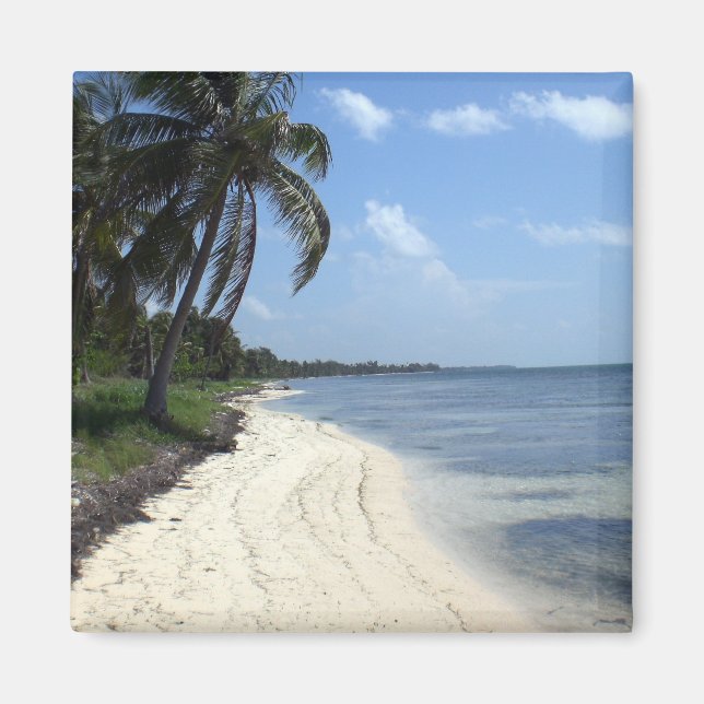 Íman México Magnet (Frente)