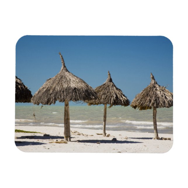 Íman México, Península de Yucatán, Progreso. Palha (Horizontal)