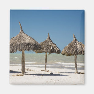 Íman México, Península de Yucatán, Progreso. Palha
