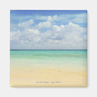 México, Playa Del Carmen, paisagem sazonal 2