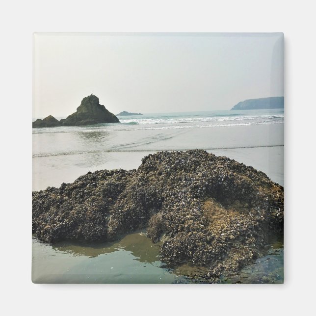 Íman Meyers Beach North, Dourada Beach, Oregon (Frente)