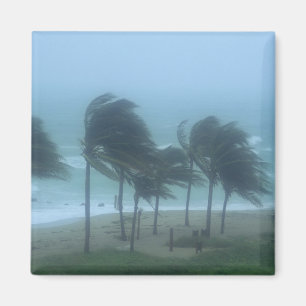 Íman Miami Beach, Flórida, ventos de furacão açoitando