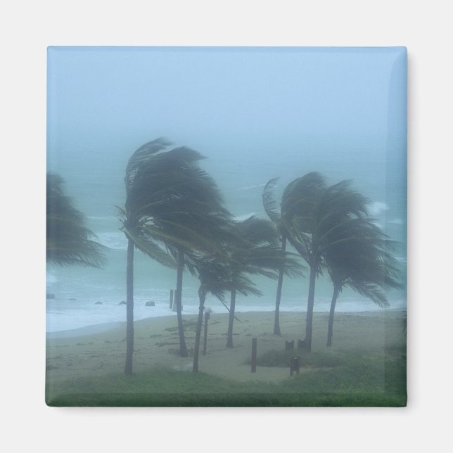 Íman Miami Beach, Flórida, ventos de furacão açoitando (Frente)