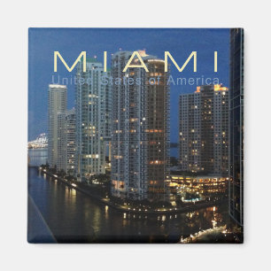 Íman Miami Florida na imã de geladeira da foto do