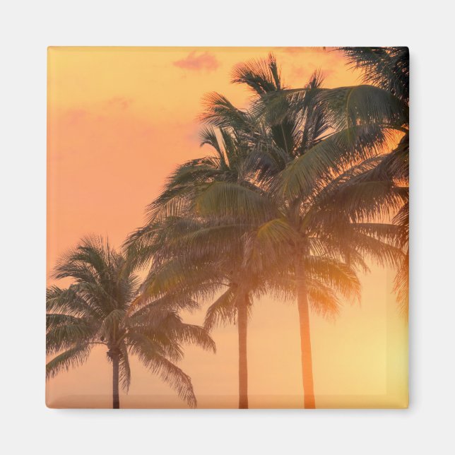 Íman Miami Palms (Frente)