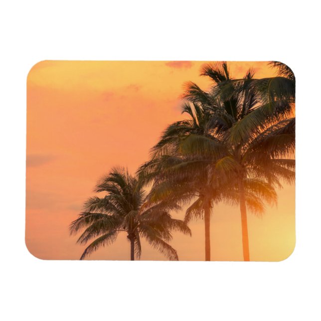 Íman Miami Palms (Horizontal)