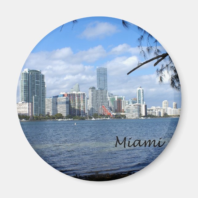 Íman Miami Skyline (Frente)