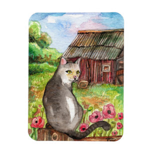 Íman Miau no celeiro
