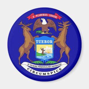 Íman Michigan Flag