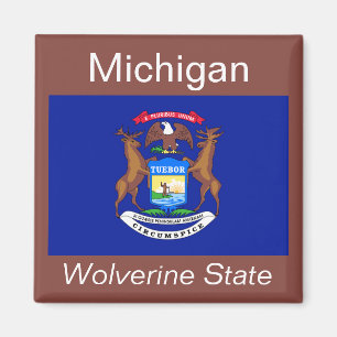 Íman Michigan Flag Magnet