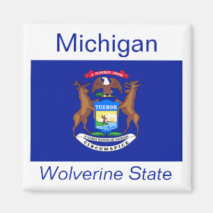 Íman Michigan Flag Magnet