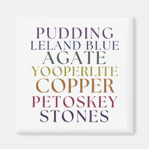 Íman Michigan Rockhound Agate Petoskey Stone Magent