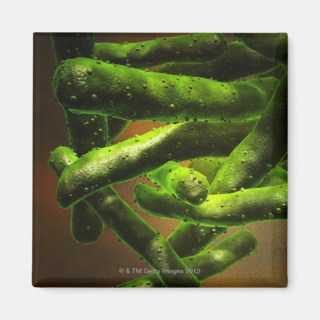 Íman Micobacteria Tuberculose (Frente)