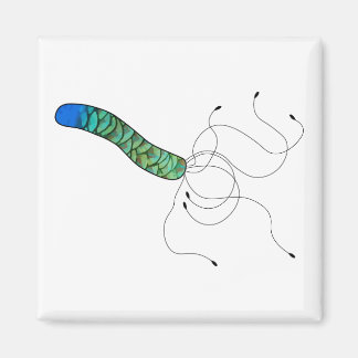 Íman Micróbio artístico de penas