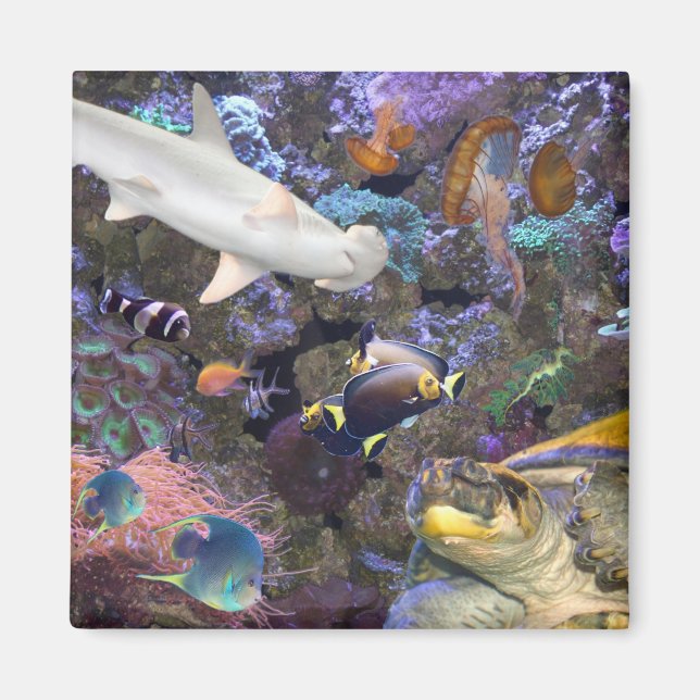 Íman Mídia da Vida do Mar (Frente)