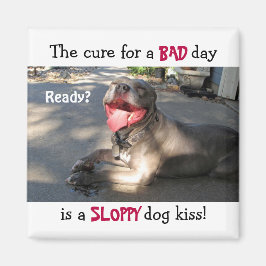 Íman Mídia de Beijo de Cachorro