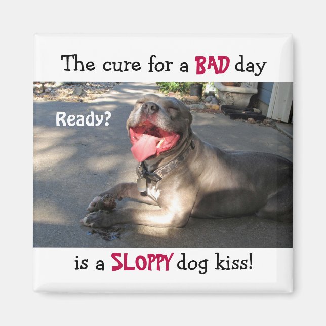 Íman Mídia de Beijo de Cachorro (Frente)