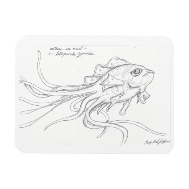 Íman Mídia de Tassel Mar (Horizontal)