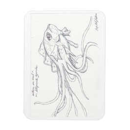 Íman Mídia de Tassel Mar