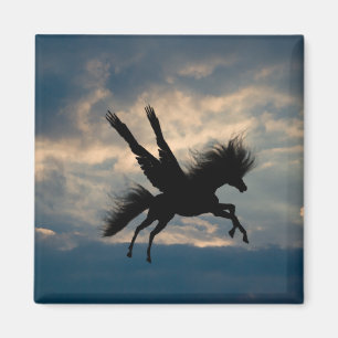 Íman Mídia de voo noturno