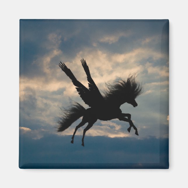 Íman Mídia de voo noturno (Frente)