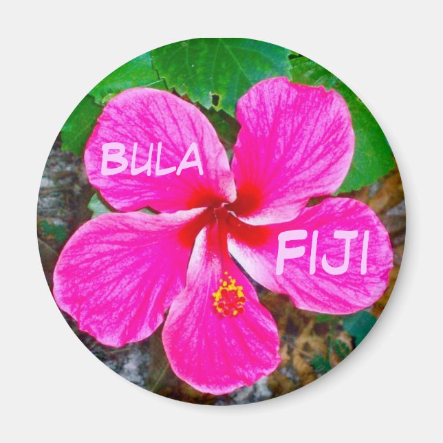 Íman Mídia Habiscus Rosa (Frente)