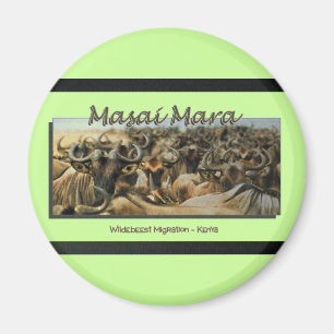 Íman Migração do Wildebeest/Gnu, ímãs do safari