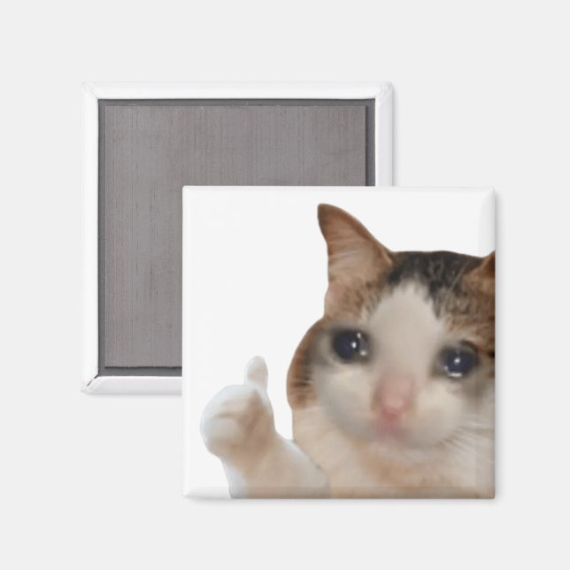 Íman Migre Ok Gato Meme Magnet (Front/Back)