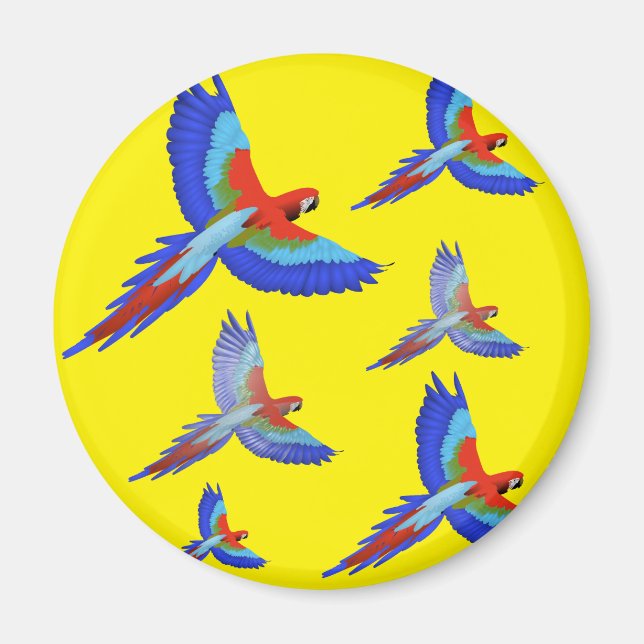 Íman Mikitiez parrot hawaii verão sunset Beach primaver (Frente)