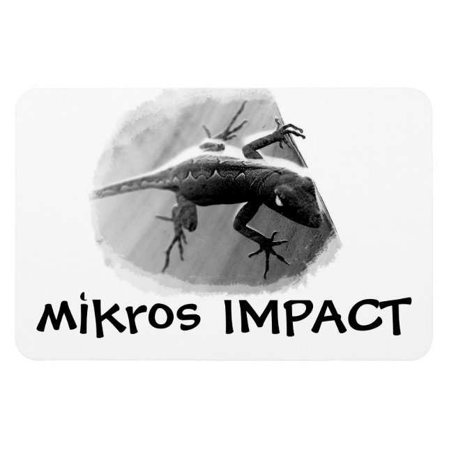ÍMAN  MIKROS IMPACTA A SOMBRA DE LIZARD FLEX MAGNET (Horizontal)