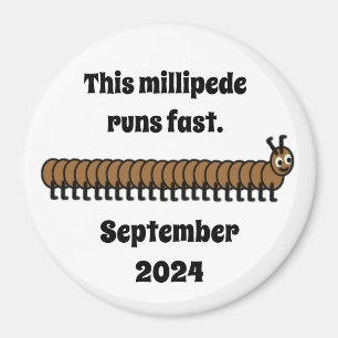 Íman Mileopeia, marrom
