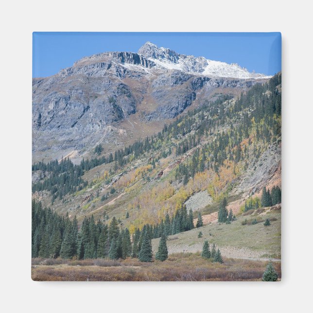 Íman Milhões de Dólares de Mídia Rodoviária (Frente)