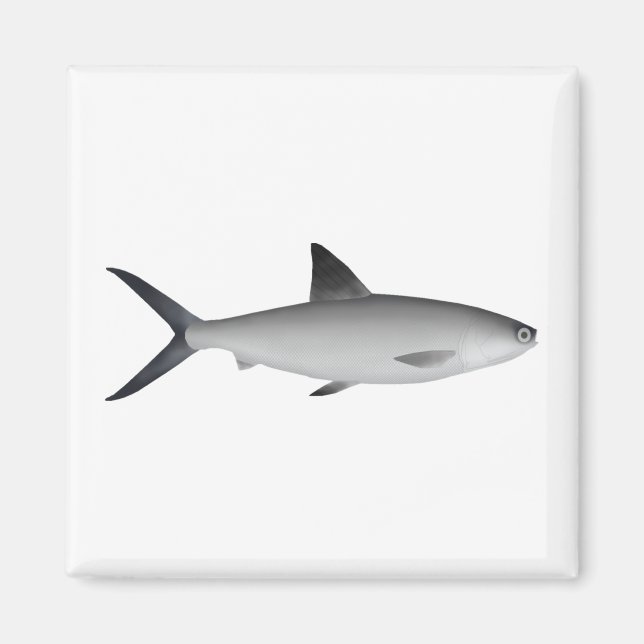 Íman Milkfish Magnet (Frente)