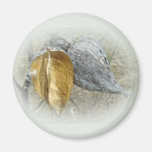 Íman Milkweed Pods
