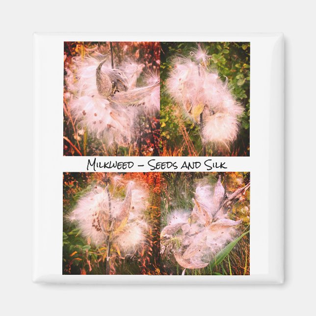 Íman Milkweed | Sangria (Frente)