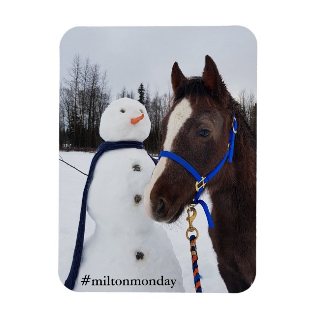 Íman Milton segunda-feira (Vertical)