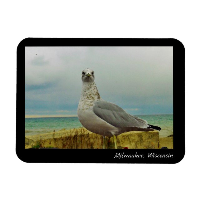 Íman Milwaukee, Wisconsin (Horizontal)