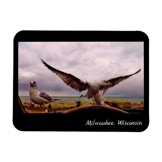 Íman Milwaukee, Wisconsin (Horizontal)