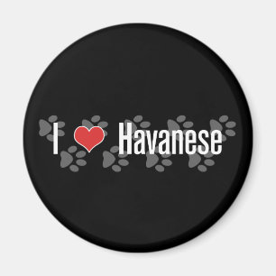 Íman Mim (coração) Havanese