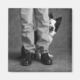Íman Mim e minha sombra - cão do Collie